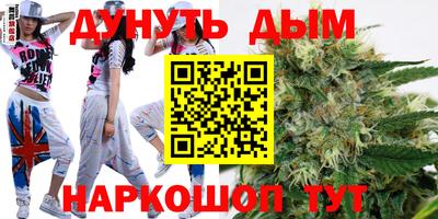 ALPHA PVP Гатчина
